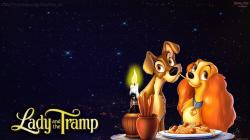 Lady And The Tramp widescreen for desktop
