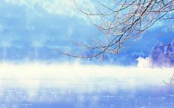 Lake Winter Branches Nature HD wallpaper 2560x1600 ...