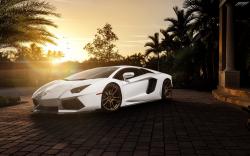 Lamborghini Aventador White Car Tuning Parking