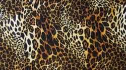 original wallpaper download: Bright leopard - 1920x1080