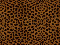 Download the following Leopard Print Background 18397 by clicking the orange button positioned underneath the "Download Wallpaper" section.