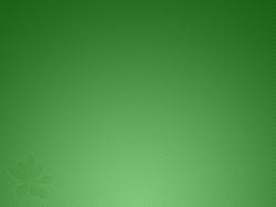 Wallpapers for Gt Pale Light Green Background 1600x1200px