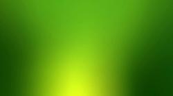 Download the following Light Green Background 31851 by clicking the orange button positioned underneath the "Download Wallpaper" section.