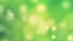 Download the following Wonderful Light Green Wallpaper 2654 by clicking the button positioned underneath the "Download Wallpaper" section.