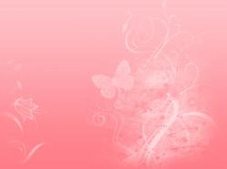 Pink Floral Desktop Wallpaper 1600x1200px