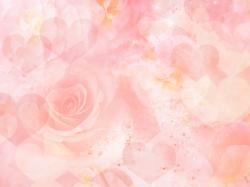 Flowers for Gt Light Pink Rose Background Wallpaper 1600x1200px