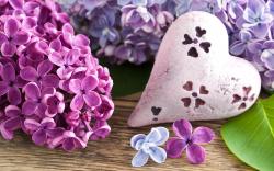 Heart lilac flowers