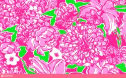images of an unofficial collection of lilly pulitzer prints wallpaper