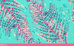 Cool Lilly Pulitzer Wallpaper: Extraordinary Lilly Pulitzer Wallpaper 1280x800px