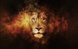 Lion fire art