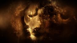 HD Wallpaper | Background ID:151419. 1600x900 Animal Lion