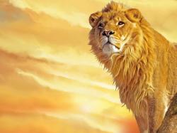 Cartoon Lions Lion Painting Xwallpaper Desktop Wallpaper