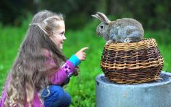 Little girl with rabbit