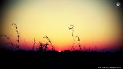 Lomography HD Wallpaper Background – Beautiful Vivid Sunset