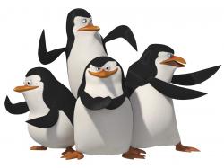 Pinguins of madagascar