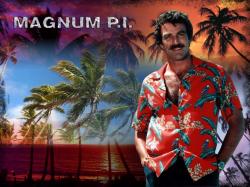 I am old enough to remember Magnum PI vividly. He was handsome, smart and had this acute sense of humor and fabulous little voice that would give us an ...