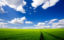 Clouds landscapes nature sky bliss fields meadow wallpaper HQ WALLPAPER - (#5186)