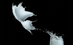 Milk Splash wallpaper