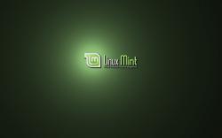Linux Mint Wallpaper 788 Background HD