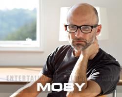 Moby Wallpaper - Original size, download now.