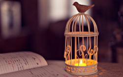 Mood Cell Lantern Bird Candle Light Notebook