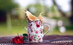 Mood Cup Mug Spray Splash Roses Flowers