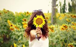 Mood Girl Field Sunflowers