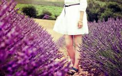 Mood Macro Flowers Lavender Purple Field Girl Legs Dress