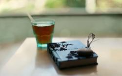Mood Notebook Stone Tea