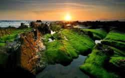 Moss coast sunset Wallpapers Pictures Photos Images. «