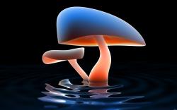 Mushroom 3d