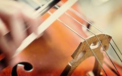 Music Violin Close-Up