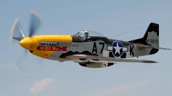 P-51 Mustang Warbird aircraft