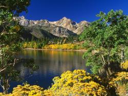 Wallpaper of california nature toiyabe national forest