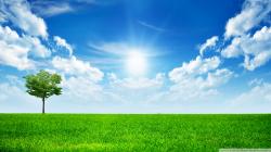 Free Green Nature Wallpapers Hd Pictures 4 HD Wallpapers