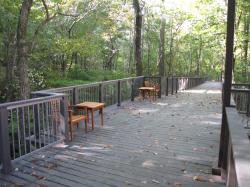 ... In addition to the boardwalk construction, Nature Bridges installed approximately 1,064 lineal feet of custom