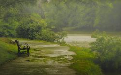 Nature rain park bench