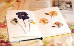 Notebook Notepad Flowers Herbarium
