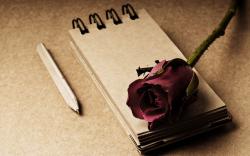 Notepad Flower Rose Red Pencil