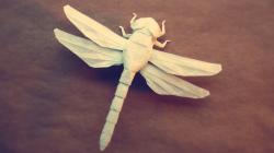 Origami Dragonfly Photo