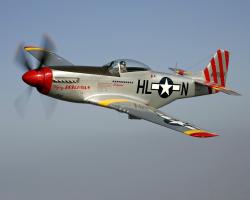 P-51 Mustang "Flying Dutchman" [Skin Request]