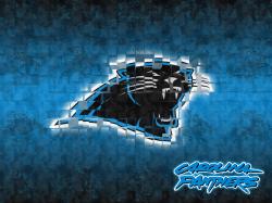 Panthers Wallpaper