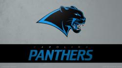 Carolina Panthers Helmet Wallpaper Viewing Gallery