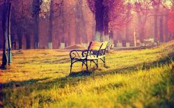 These wallpapers are high definition and available in wide range of sizes and resolutions. Download Park Bench HD Wallpapers absolutely free for your Pc, ...