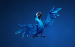 Parrot Blue Art Cartoon