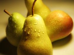 wet pears wallpaper