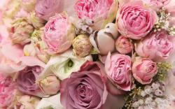 Roses and peonies bouquet wallpaper