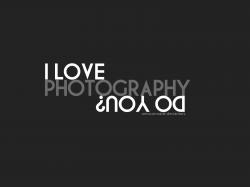 Photography Lovers Wallpaper