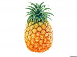 pineapple%20wallpaper%20tumblr