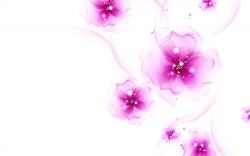 ... beautiful-white-and-pink-abstract-backgrounds-flowers ...